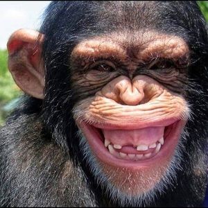 Meet your Posher, Efrain